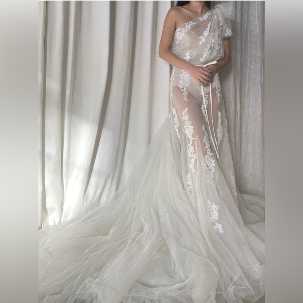 Pronovias One Shoulder Sheer Embroidered Tulle Gown